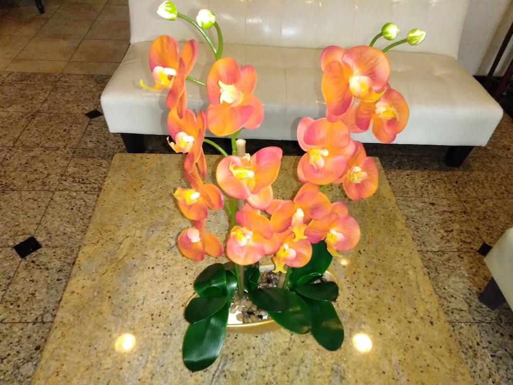 Athens Hotel & Suites Houston Ngoại thất bức ảnh